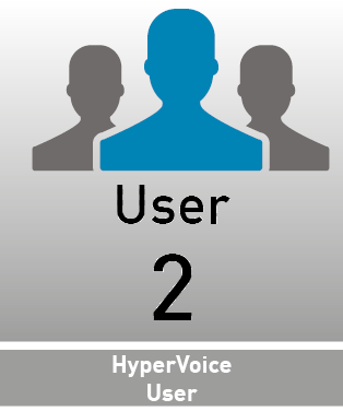 Agfeo HyperVoice Grundlizenz 2 User