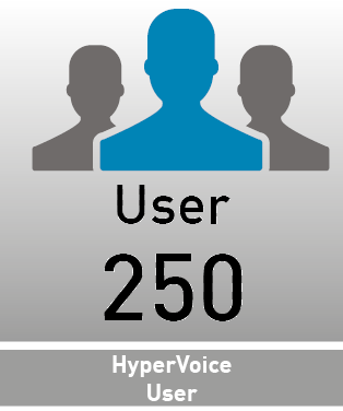 Agfeo HyperVoice Grundlizenz 250 User
