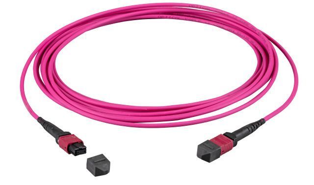 LWL-MTP®-Female Patchkabel OM4 LowLoss, 12 Faser, Typ B crossed, erika-violett,  40m