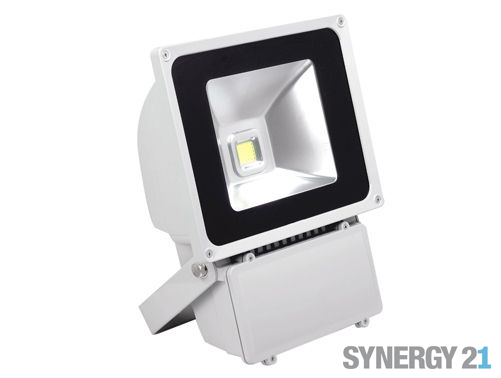 Synergy 21 LED Spot Kültéri reflektor  80W természetes fehér