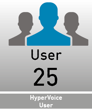 Agfeo HyperVoice Grundlizenz 25 User