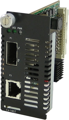 Perle Medien Konverter 10GB Dual SFP&plus; Slot leer